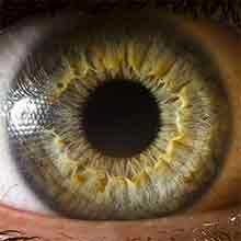 Лютеин и зеаксантин не могут существенно снизить скорость развития катаракты