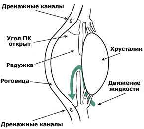 Первичная открытоугольная глаукома