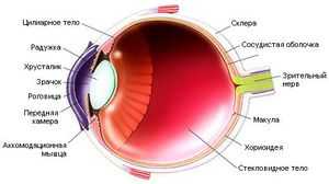 Как сохранить зрение Советы Авиценны