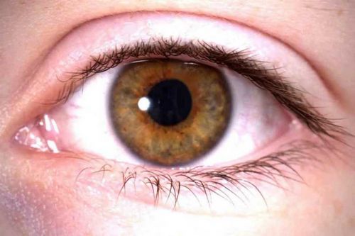 Экспериментальное лекарство фирмы Biogen показывает возможность восстановления зрительного нерва