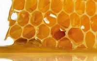Пчелиный воск. Прополис. Пчелиный мед. Пыльца - продукт питания и лечебное средство.