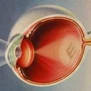 капли профилактика катаракты