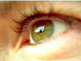 Глаза с кератоконусом, в отличие от здоровых, характеризуются большей асимметрией параметров роговицы