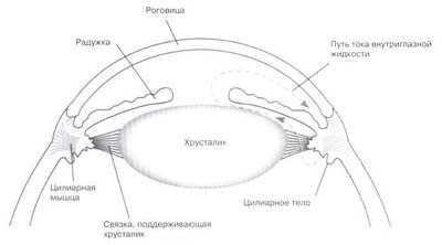 Глаукома