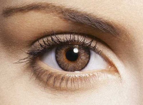 Нормотензивная глаукома. Причины возникновения нормотензивной глаукомы