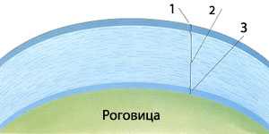 Слеза и её функции