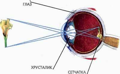 катаракта глаза операция стоимость в уфе